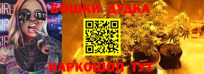 мдпв Аргун