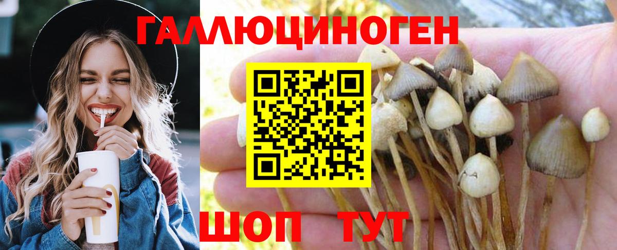 Псилоцибиновые грибы Magic Shrooms  Вход с VPN  Псилоцибиновые грибы Psilocybe  Великий Новгород 